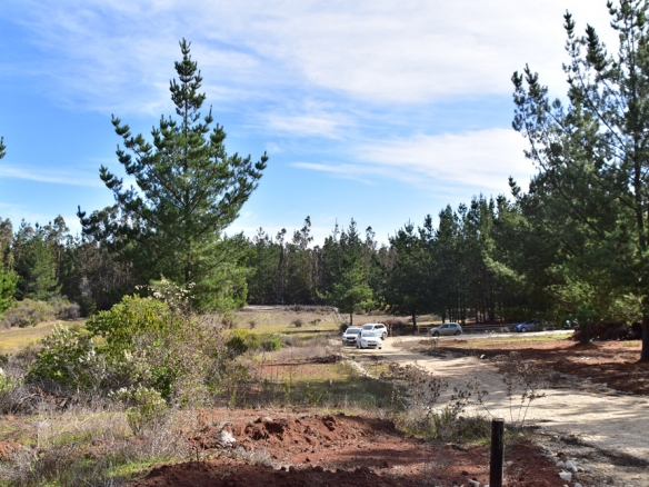 Zona Riachuelos – Parque La Ligua