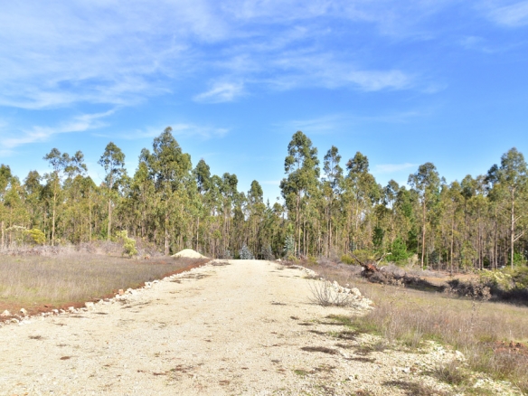 Zona Riachuelos – Parque La Ligua