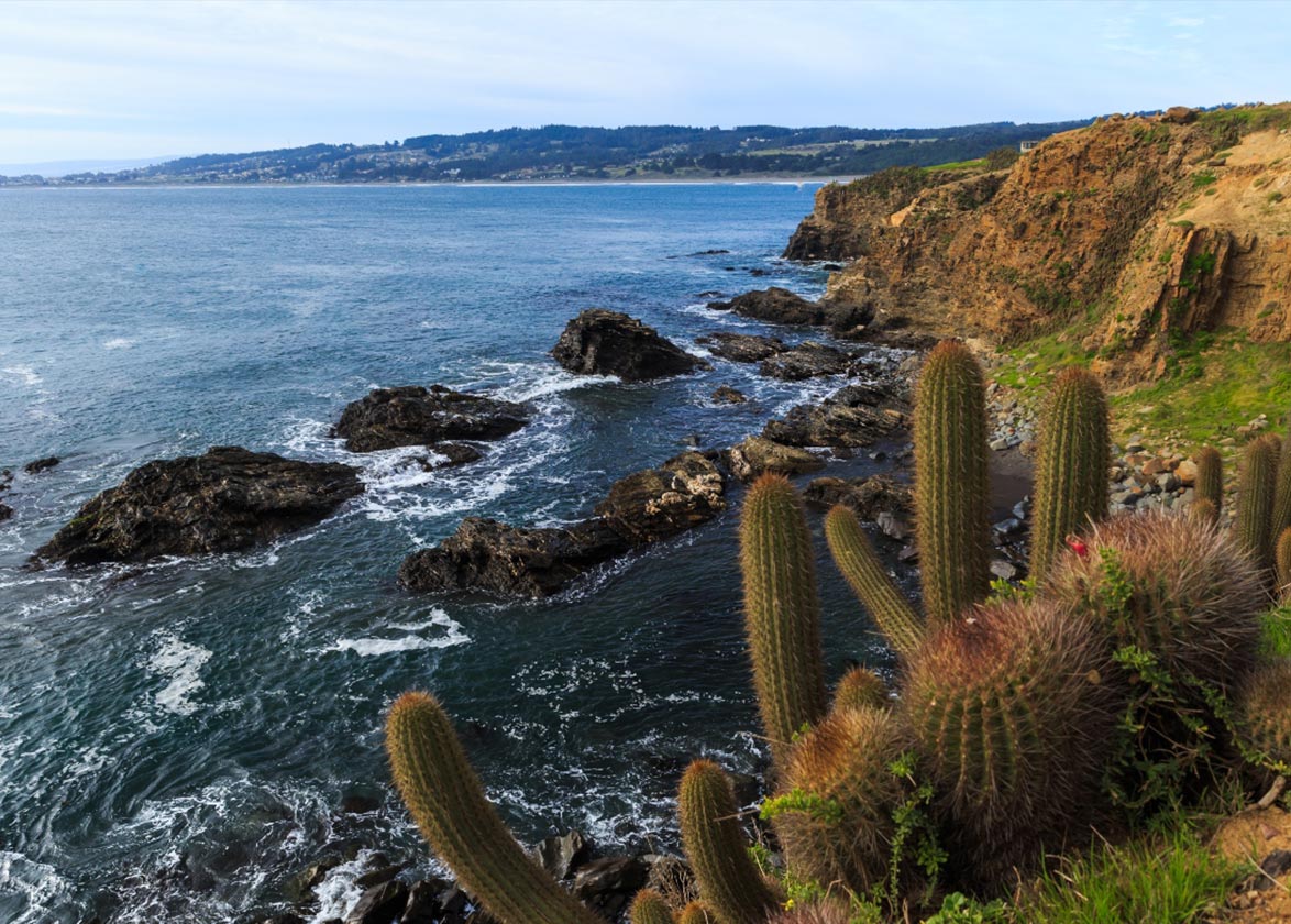 punta-de-lobos2