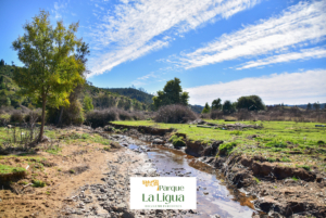 Zona Riachuelos – Parque La Ligua [Bucalemu]