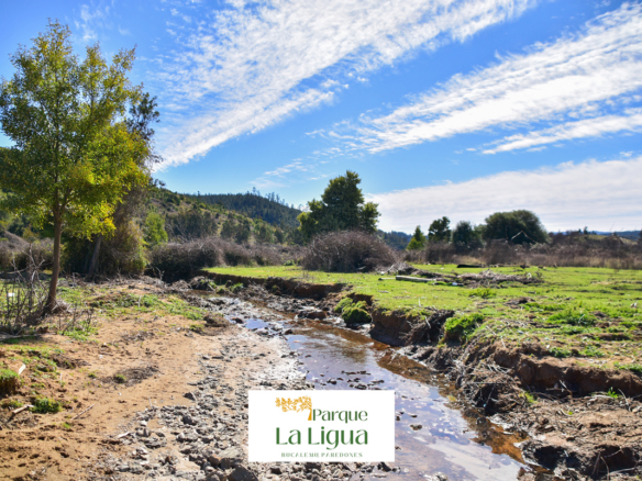 Zona Riachuelos – Parque La Ligua [Bucalemu]