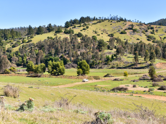 Parcelación Parque La Ligua [Bucalemu]
