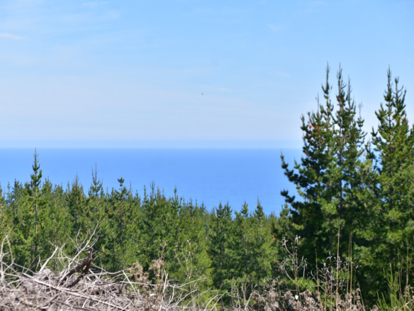 [Pichilemu] Parcela semiplana con bosque y vista al mar
