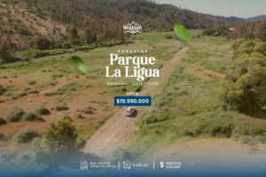 Parcelación Parque La Ligua [Bucalemu] Zona Miradores