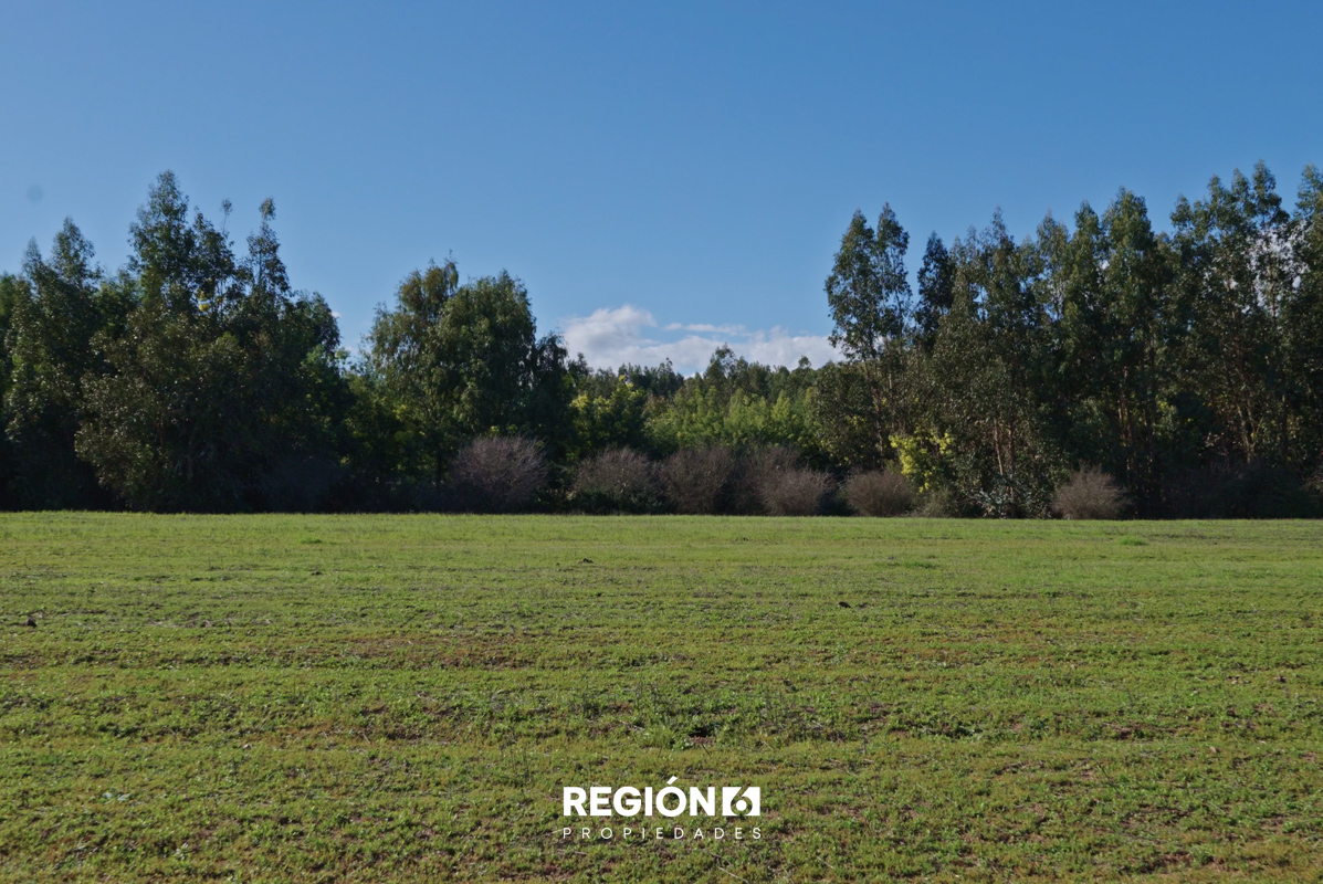 [Pumanque] Pumanque Centro